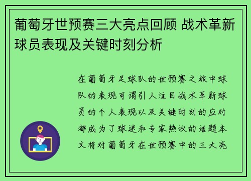 葡萄牙世预赛三大亮点回顾 战术革新球员表现及关键时刻分析