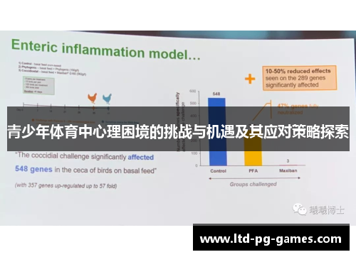 青少年体育中心理困境的挑战与机遇及其应对策略探索