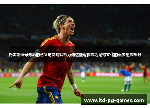 托雷斯绰号背后的意义与影响解析为何这些昵称成为足球文化的重要组成部分 托雷斯绰号背后的意义与影响解析为何这些昵称成为足球文化的重要组成部分