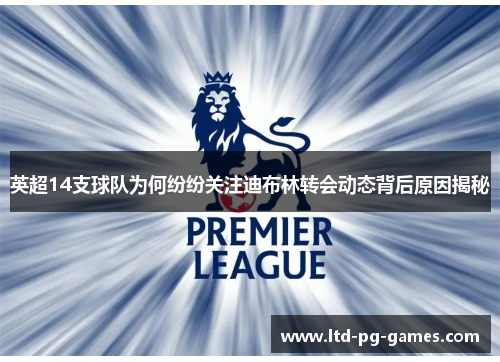 英超14支球队为何纷纷关注迪布林转会动态背后原因揭秘